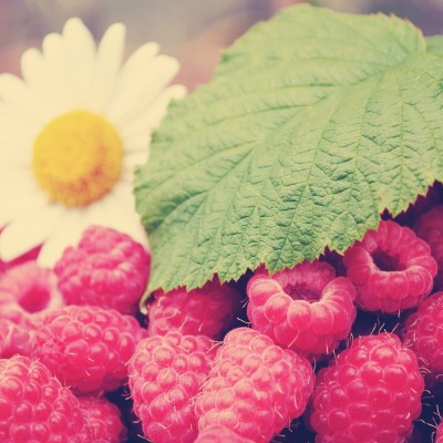 1920 x 1080 HD Wallpapers 1209